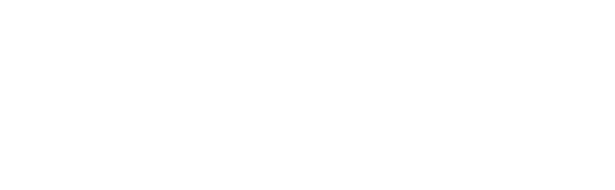 OptiFlow Pro